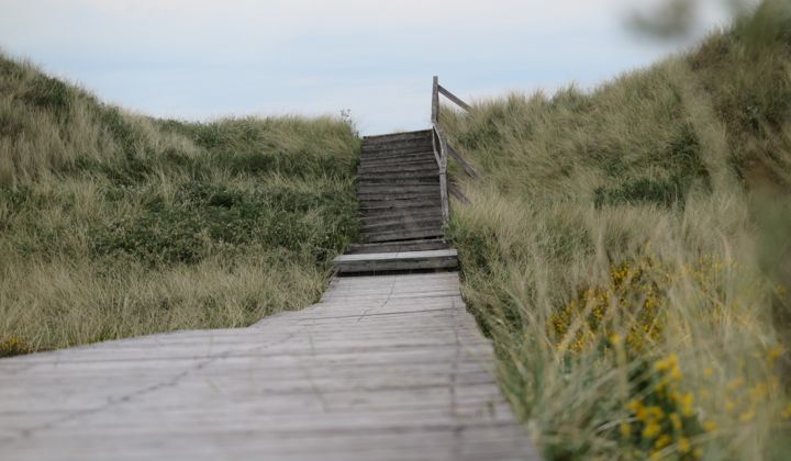 Fotografie mit dem Titel "Der Weg" von Thomas Hempel Manufaktur, Original-Kunstwerk,