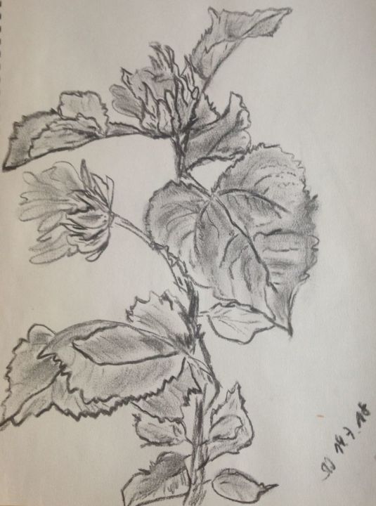Drawing titled "Sonnenblume" by Naturkind, Original Artwork