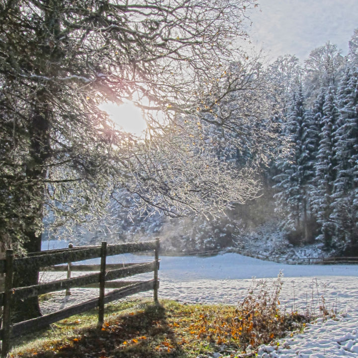 Fotografia zatytułowany „La première neige” autorstwa Lara Lind, Oryginalna praca, Fotografia cyfrowa