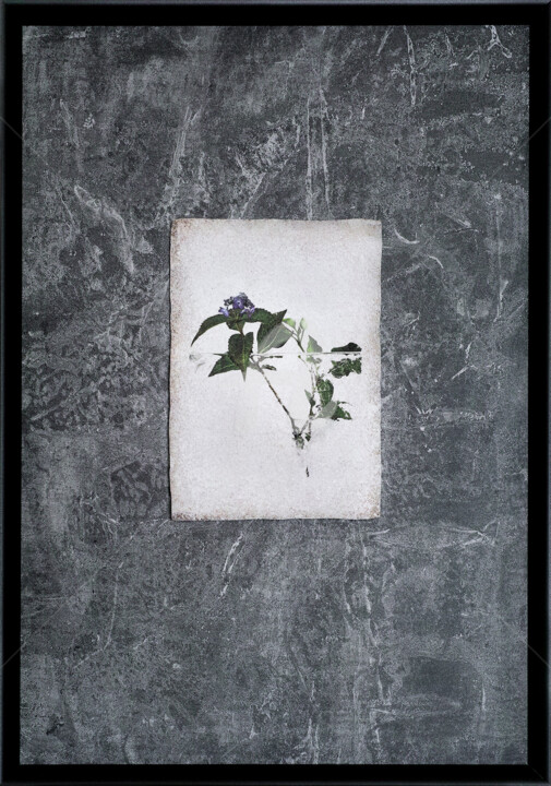 Photographie intitulée "Plate #002" par Keiichiro Muramatsu, Œuvre d'art originale, Photographie numérique Monté sur Alumini…