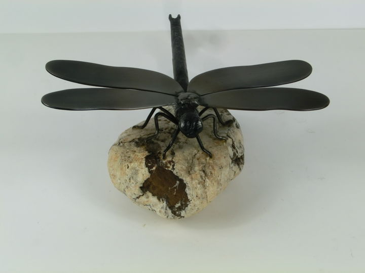Sculpture titled "Libelle" by Richard Blaas, Original Artwork, Metals