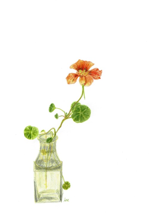 Zeichnungen mit dem Titel "Kapuzinerkresse für…" von Ingrid Edith Wekel, Original-Kunstwerk, Conté-Buntstifte