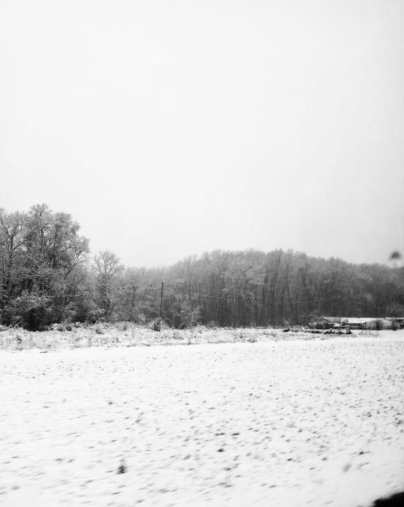 「black & white」というタイトルの写真撮影 Zanetによって, オリジナルのアートワーク