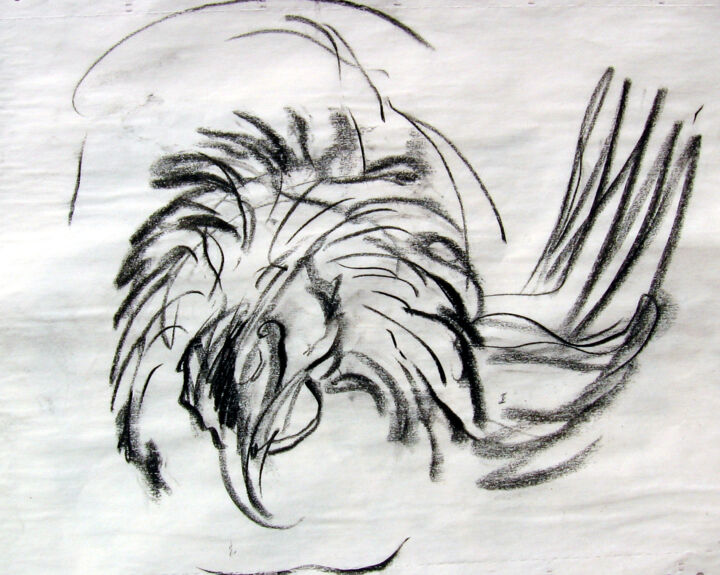 Disegno intitolato ""Birds I"- sketch,…" da Ion Preda, Opera d'arte originale, Carbone