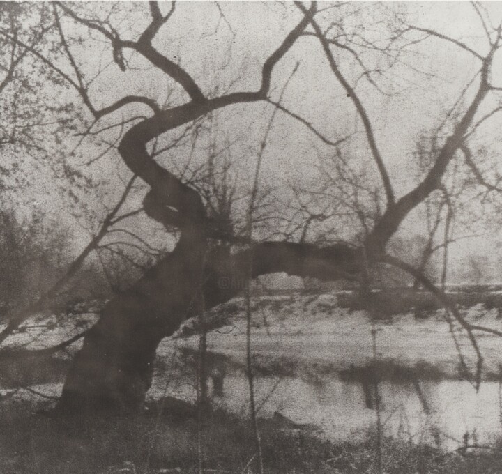 Fotografia intitulada "Sleepy Hollow" por Ira Kolominova, Obras de arte originais, Fotografia de filme