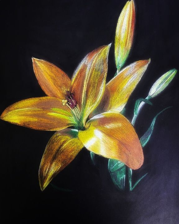 Drawing titled "Yellow lily" by Irina Shopina, Original Artwork, Pencil