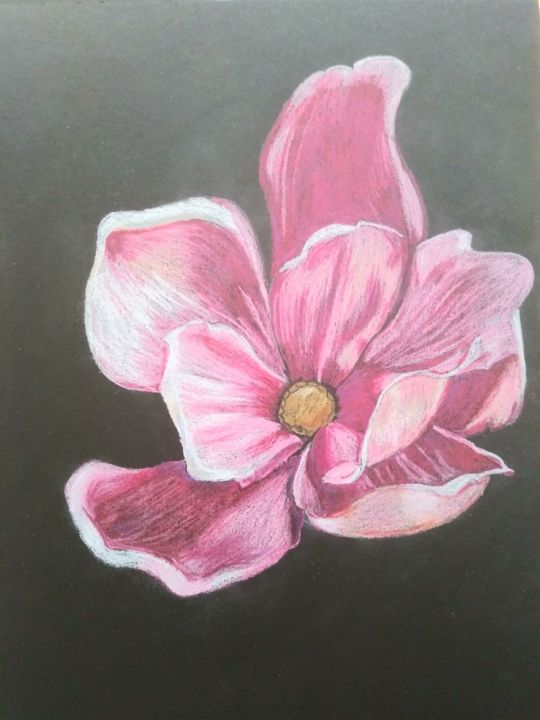 Drawing titled "Magnolia" by Irina Shopina, Original Artwork, Pencil