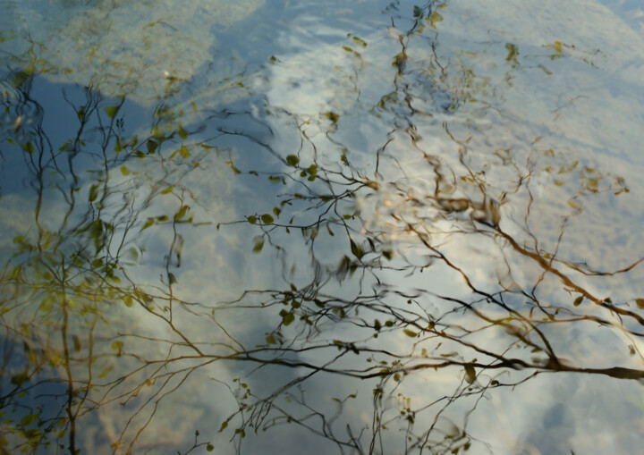 Photographie intitulée "Traslucidez15" par Irati Laburu, Œuvre d'art originale, Photographie numérique