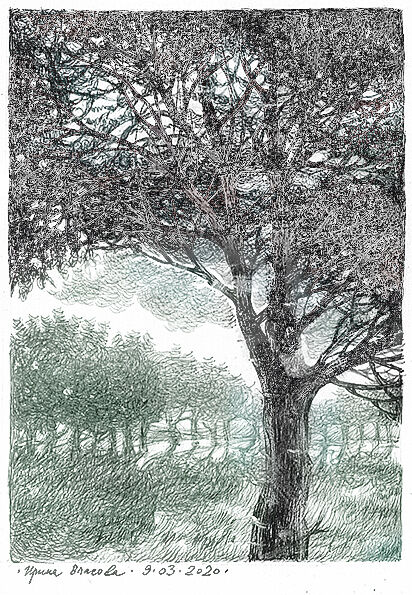 Drawing titled "Tree." by Irene Vlassova, Original Artwork, Ink