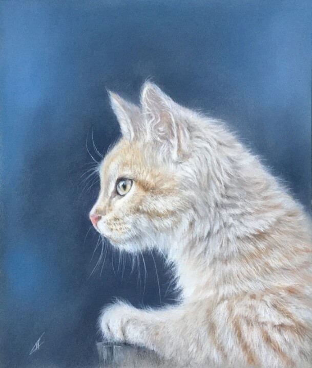 Рисунок под названием "Kitten" - Irene_art, Подлинное произведение искусства, Пастель