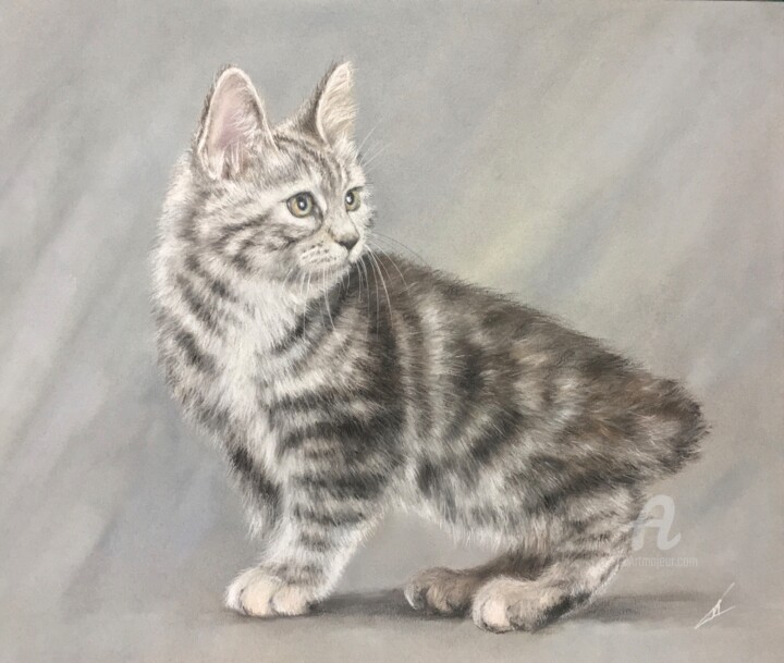 Рисунок под названием "Bobtail cat" - Irene_art, Подлинное произведение искусства, Пастель