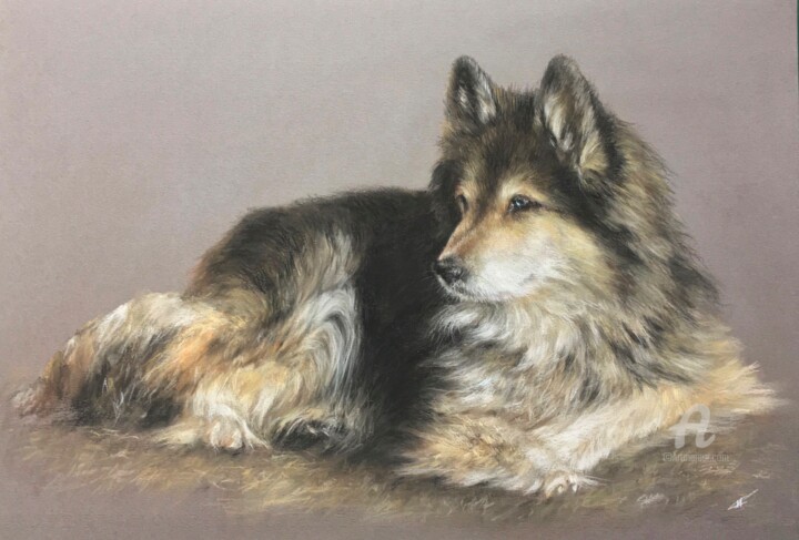 Dessin intitulée "Friend. Dog portrai…" par Irene_art, Œuvre d'art originale, Pastel
