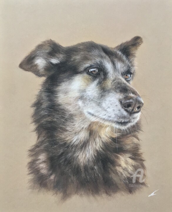 Painting titled "Very clever dog" by Irene_art, Original Artwork, Pastel