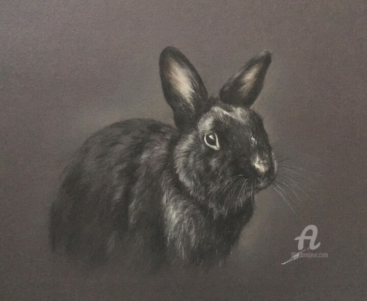 Disegno intitolato "Black bunny portrait" da Irene_art, Opera d'arte originale, Pastello