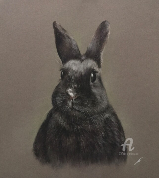 图画 标题为“Cute bunny” 由Irene_art, 原创艺术品, 粉彩