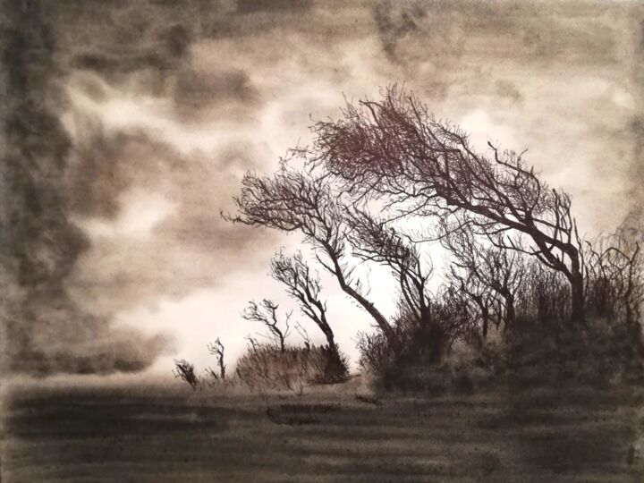Dessin intitulée "Le vent du Nord" par Irina Cavat, Œuvre d'art originale, Encre Monté sur Autre panneau rigide