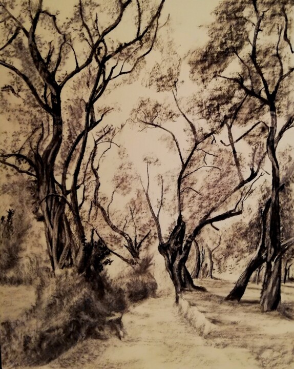 Drawing titled "Dans la forêt" by Irina Cavat, Original Artwork, Charcoal Mounted on Cardboard