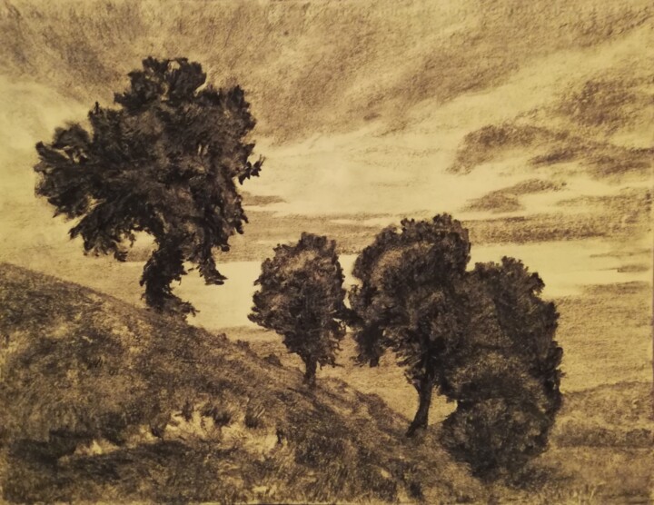 Drawing titled "Le crépuscule" by Irina Cavat, Original Artwork, Charcoal Mounted on Cardboard