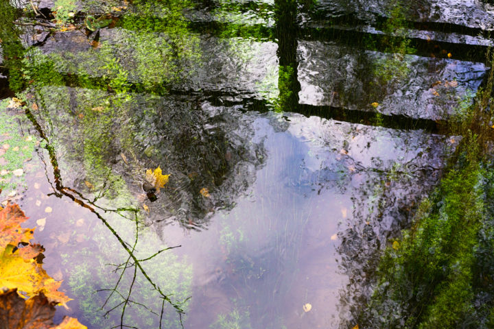 Фотография под названием "Autumn pond" - Irina Dotter, Подлинное произведение искусства, Не манипулируемая фотография