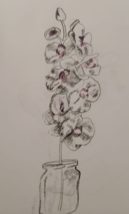 Σχέδιο με τίτλο "Orchids" από Irina Kromm, Αυθεντικά έργα τέχνης, Γραφίτης
