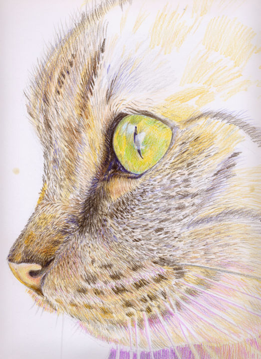 Dessin intitulée "Meow" par Irina Kromm, Œuvre d'art originale, Crayon