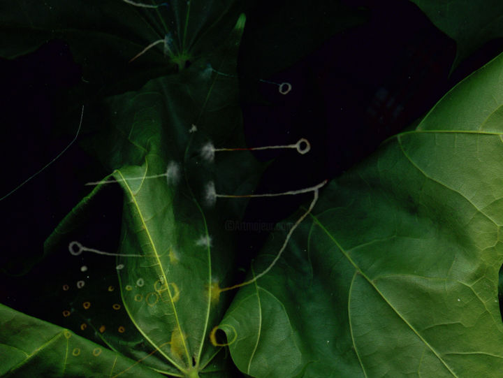 Arte digitale intitolato "Green Fragrance" da Irina Kromm, Opera d'arte originale, Fotomontaggio