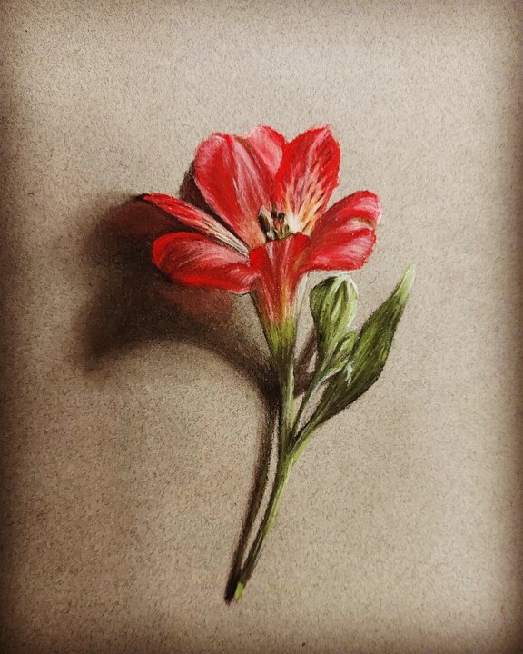 Peinture intitulée "Аленький цветочек" par Irina Nikulina, Œuvre d'art originale, Pastel