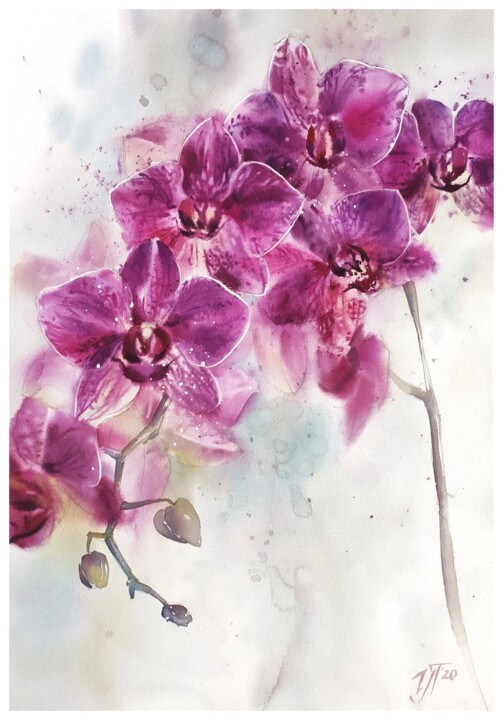 Painting titled "Orchid queen. Flowe…" by Irina Pronina, Original Artwork, Watercolor