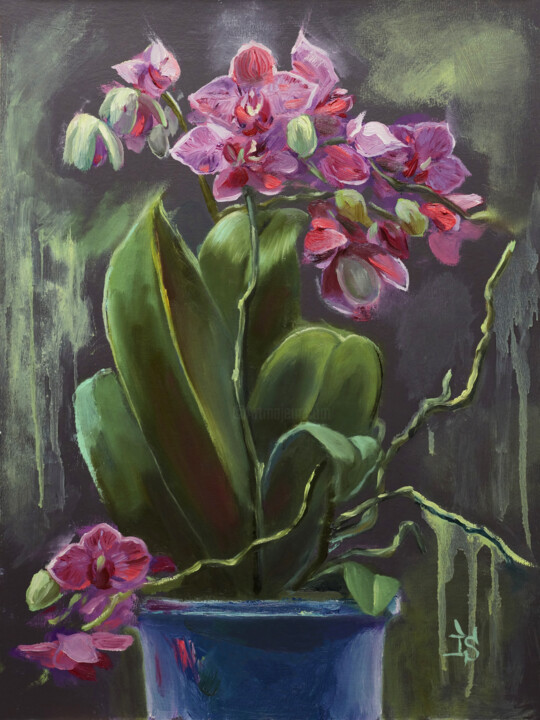 Painting titled "The Orchids" by Irina Sergeyeva, Original Artwork, Oil Mounted on Cardboard