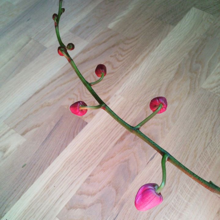 Photography titled "img-7693.jpg" by Irina Shahno, Original Art,