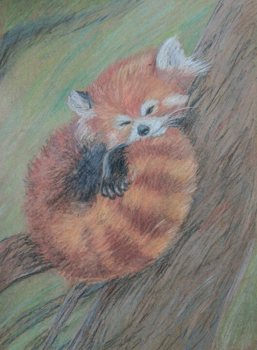 Pittura intitolato "Red Panda #artistsu…" da Irina Zaitseva, Opera d'arte originale, Pastello