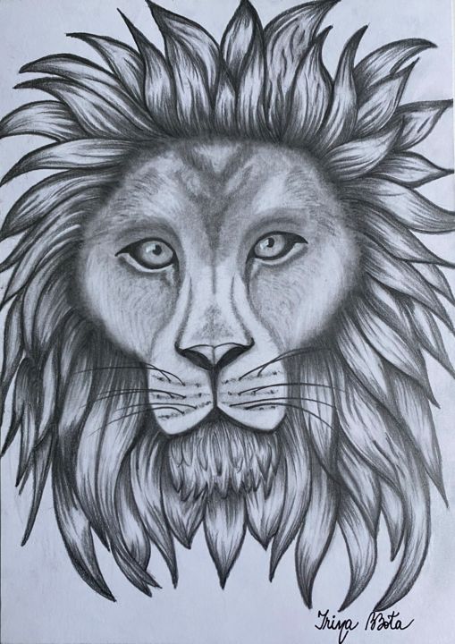Lion Head In Pencil Drawing By Irina Bbota Artmajeur
