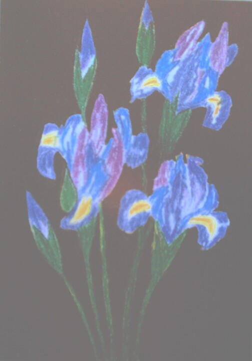 Painting titled "Irises on Black" by Irina Rabeja, Original Artwork, Pastel