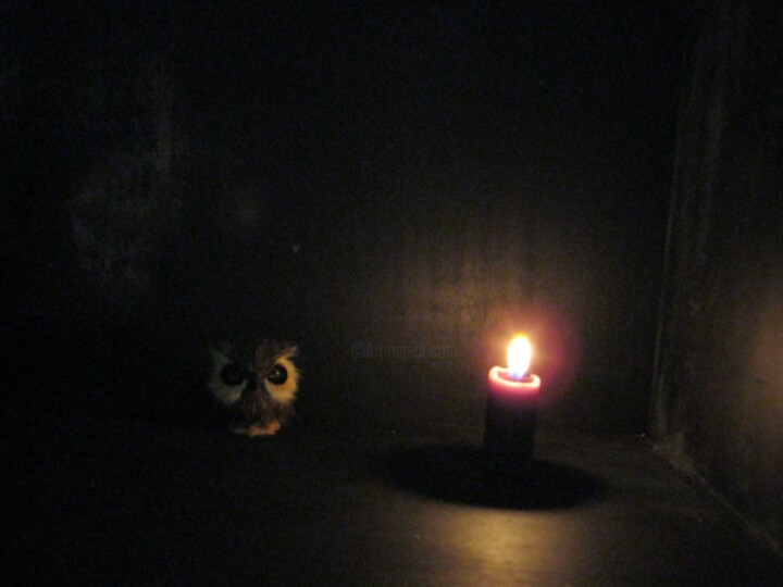 摄影 标题为“Owl ( Dark room ser…” 由Irvin Grassi, 原创艺术品, 数码摄影