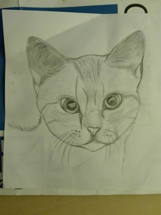 Disegno intitolato "disegno gatto" da Iryna De Simone, Opera d'arte originale