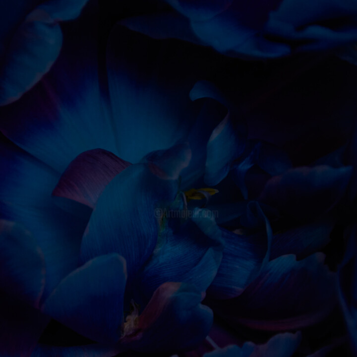 Photography titled "Deep blue" by Iryna Domashenko, Original Artwork, Digital Photography