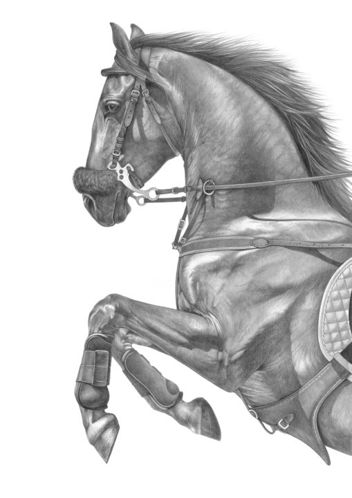 Disegno intitolato "Pencil drawing of a…" da Irynahorseart, Opera d'arte originale, Matita