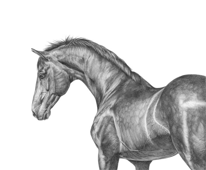 Drawing titled ""Thinking"" by Irynahorseart, Original Artwork, Graphite