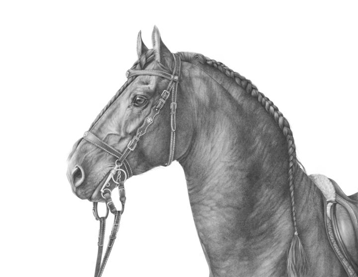 Рисунок под названием "Friesian horse port…" - Irynahorseart, Подлинное произведение искусства, Графит