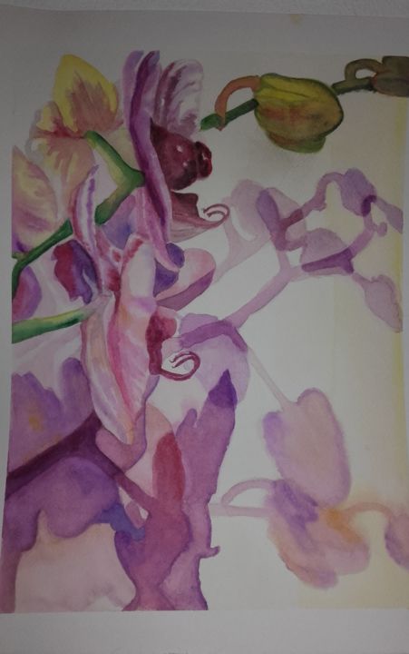 Pintura titulada "belle orchidée" por Isa Ferrari, Obra de arte original, Acuarela