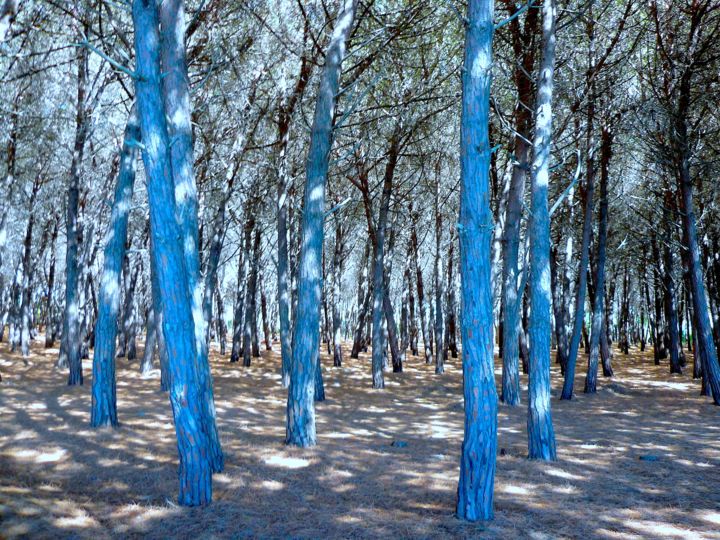 Fotografia intitolato "Il bosco" da Isabell Von Piotrowski, Opera d'arte originale