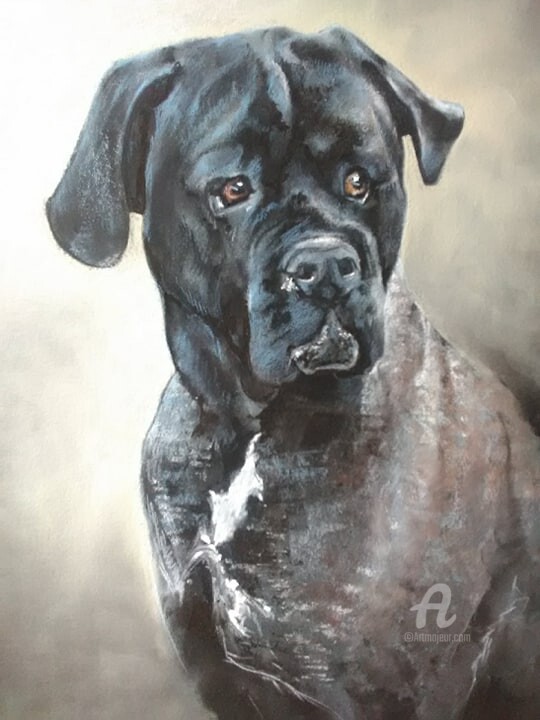 Drawing titled "Chien Rex" by Isabelle Derangere, Original Artwork, Pastel