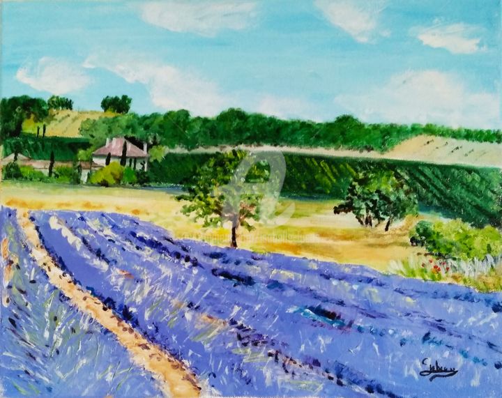 Peinture intitulée "Lavandes et vignes" par Isabelle Lucas, Œuvre d'art originale, Huile Monté sur Châssis en bois