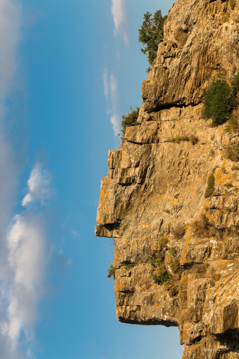 Photographie intitulée "L'indien du cap" par Isabelle Pautrot, Œuvre d'art originale, Photographie non manipulée