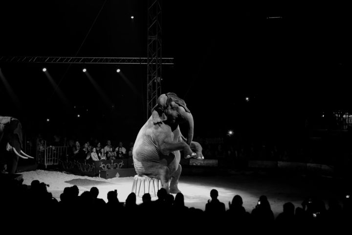 Photographie intitulée "cirque" par Isabelle Pautrot, Œuvre d'art originale