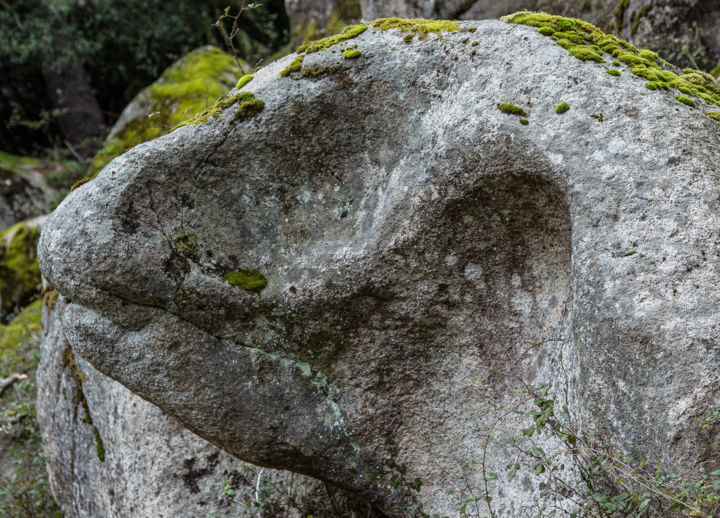 Fotografía titulada "L'immortel" por Isabelle Pautrot, Obra de arte original