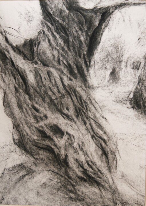 Painting titled "Elaiodendro" by Isabelle Vialle, Original Artwork, Charcoal
