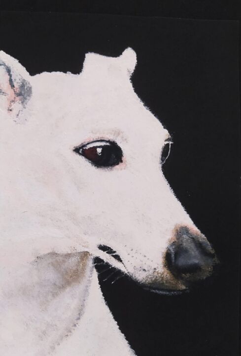 Pintura titulada "Galgo blanco" por Isabelle Wickihalder, Obra de arte original, Acrílico