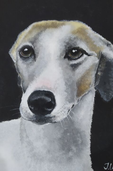 Painting titled "Galgo" by Isabelle Wickihalder, Original Artwork, Acrylic