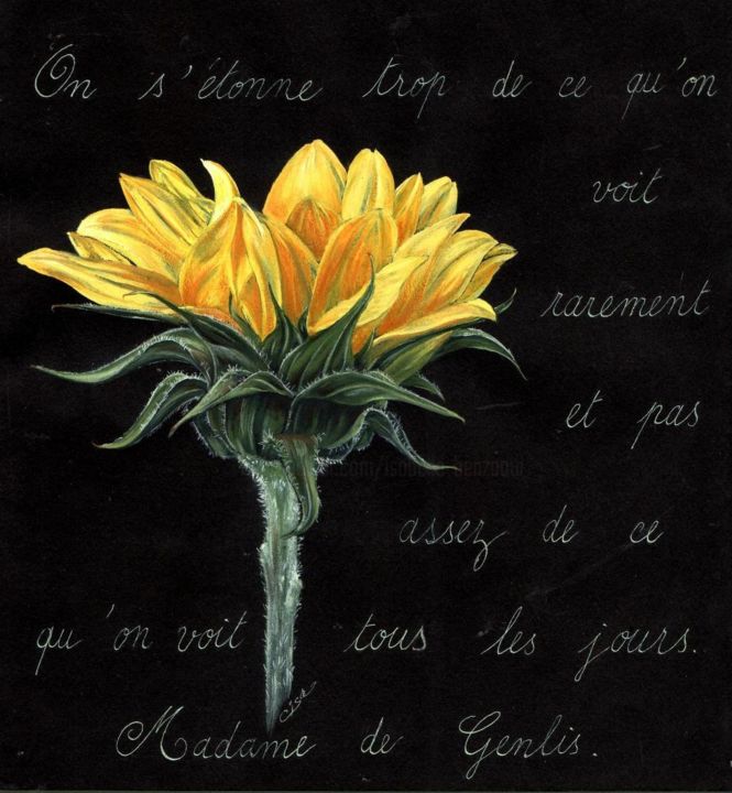 Peinture intitulée "Tournesol-fond-noir…" par Isabelle Blanchon, Œuvre d'art originale, Gouache